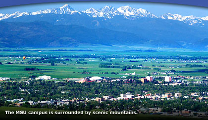 蒙大拿州立大学