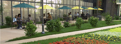 纽约长岛大学 - 院校介绍,排名,费用,奖学金,地理