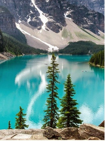 日本留学本科申请详解-新通教育安徽