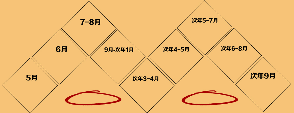 新通加拿大留学