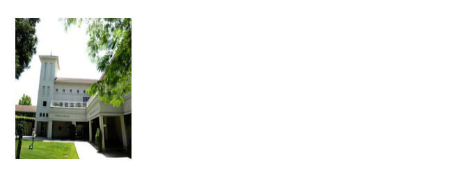 美国本科转学申请攻略-新通留学