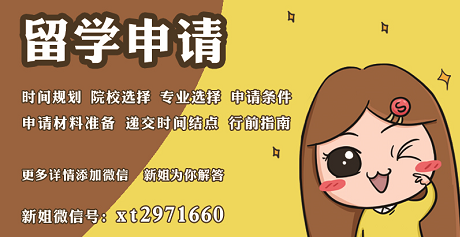 新姐