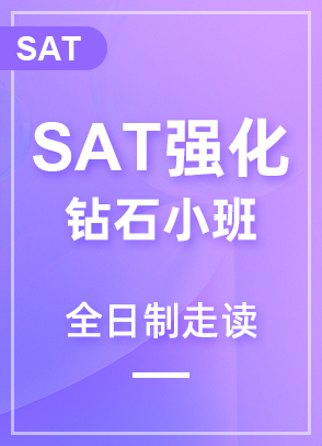 SATǿʯС