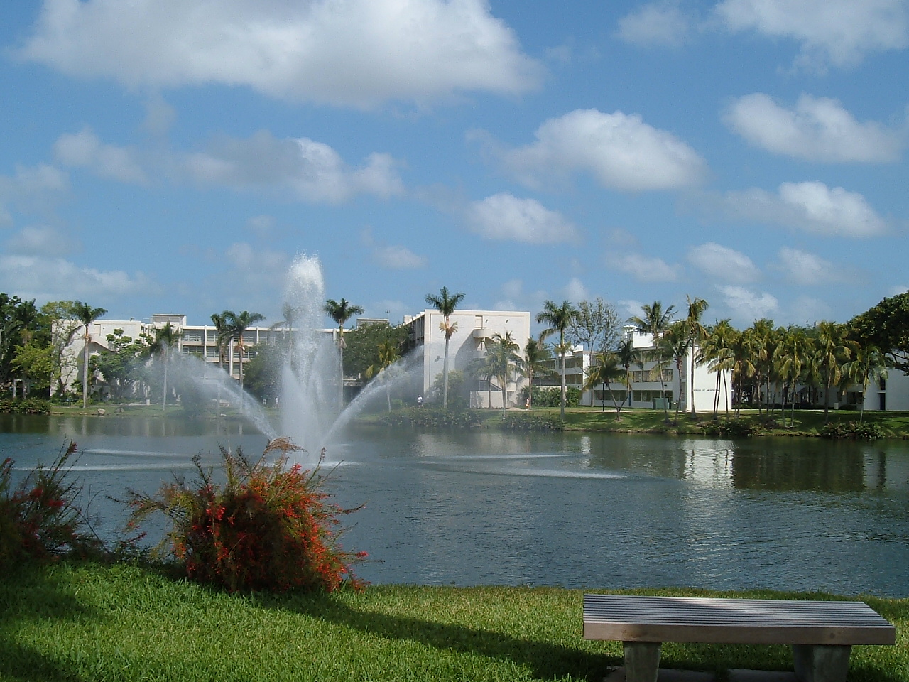 University_of_Miami_Lake_Osceola.jpg
