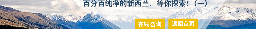 新西兰留学