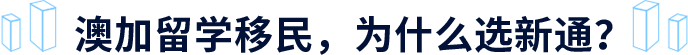 澳加留学移民,为什么选新通?
