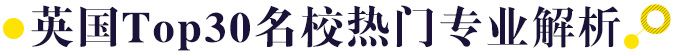 英国Top30院校热门专业解析