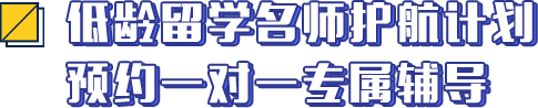 低龄留学教师护航计划预约一对一专属辅导