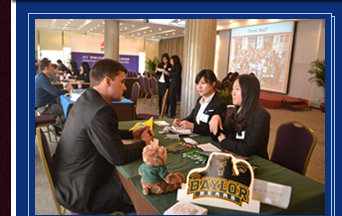 ������Ƭ