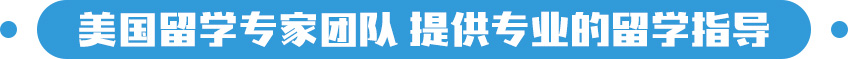 美国留学规划师团队，提供专业的留学指导
