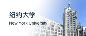 纽约大学